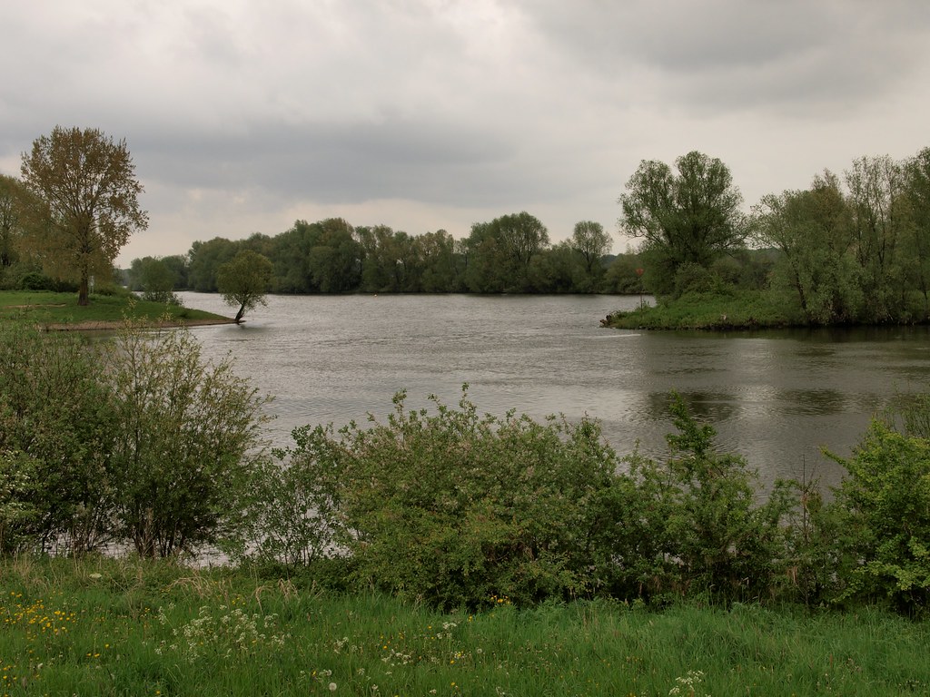 zijarm de Maas bij Boxmeer